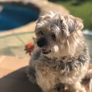 Meet your Posher, Becky